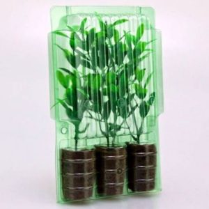 Seedling Packaging